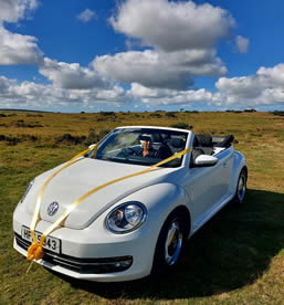 VW Beetle Convertible